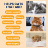 Under the Weather Cat Supplements Ready Cal