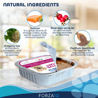 Forza 10 Wet Food - Digestive Support Fish - Dog 3.5oz