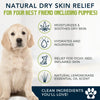 4 Legger Certified Organic Dog Shampoo – Moisturize – USDA Certified Organic Hemp Dog Shampoo with Lemongrass – 8oz Bottle