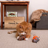 Instincts by SmartyKat® Safari Sneakers™ HappyNip® Silvervine & Catnip Plush Cat Toys & Launcher Cat Toy