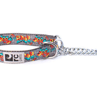 RC Pets Training Collar Graffiti