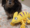 Brookbrand Pets Chameleon Rope Squeaker