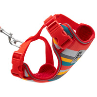 RC Pets Adventure Kitty Harness Multi Stripes SALE