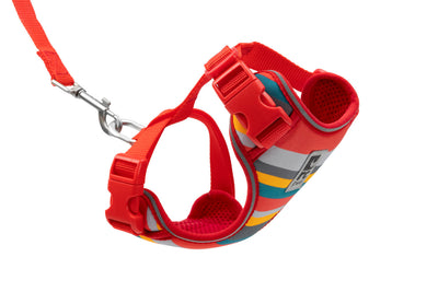 RC Pets Adventure Kitty Harness Multi Stripes SALE