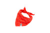 RC Pets Flare Reflective Bandana