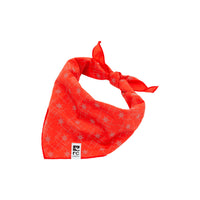 RC Pets Flare Reflective Bandana