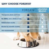Forza 10 Dermo Active (Skin) Dog Food