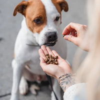 KALU Atlantic (Fish and Lobster) (NEW)