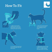 RC Pets Adventure Kitty Harness Daisies