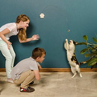 Cat Dancer® Deluxe Interactive Cat Toy