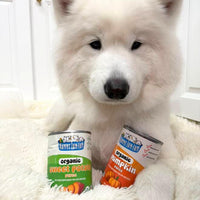 Nummy Tum Tum Organic Pumpkin