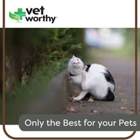 Vet Worthy Pet Hemostat