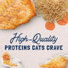 Natural Balance Tuna With Shrimp Cat 5.5 oz