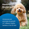 PetAg Bene-Bac® Plus Probiotic Pet Powder 4.5 oz