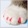 Soft Claws Feline Take Home Kit Pink (NEW)