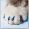 Soft Claws Feline Take Home Kit Blue (NEW)