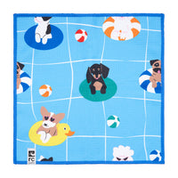 RC Pets Quick Dry Paw Towel