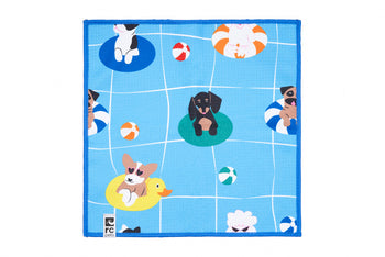 RC Pets Quick Dry Paw Towel