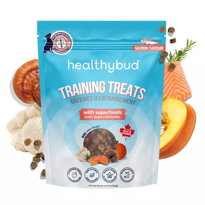 Mini Training Treats Salmon 6.5oz (NEW)