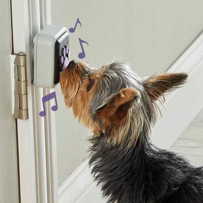 Talking Pet Doorbell (NEW)