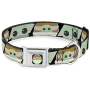 Buckle Dog Collar - Star Wars Licensed Star Wars the Child (NEW)