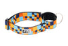 RC Pets All Webbing Training Collar MultiStripes (NEW)