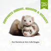 Martin Mills Little Friends Extruded Ferret Food 2.5 kg