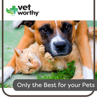 Vet Worthy Pet Adhering Wrap 2" x 5 yards