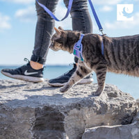 RC Pets Adventure Kitty Harness Maldives SALE