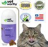 Vet Worthy - L-Lysine soft chews 60 ct