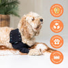 Suitical Recovery Sleeve Dog Black