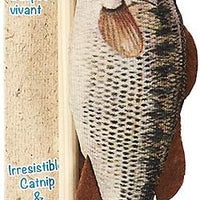 Spot® Gone Fishin' Teaser Wand Assorted Cat Toy