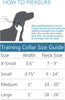 RC Pets Training Collar Maldives SALE