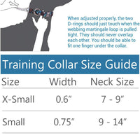 RC Pets Training Collar Maldives SALE