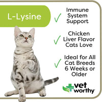 Vet Worthy - L-Lysine soft chews 60 ct