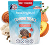 Mini Training Treats Salmon 6.5 oz