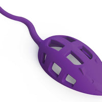 Aikiou Treat Toy Mouse