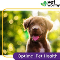 Vet Worthy® Puppy Multi Tablet (60ct)