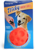 Omega Paw Tricky Treat Ball