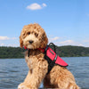 Zippy Paws Life Jacket