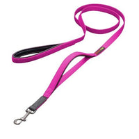 Smellydogz 6ft. Double Handle Lead 3/4" - Pink