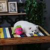 Hugsmart Fuzzy Friendz Feisty Veggie - Radish