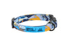 RC Pets Artist Series Collar - Daim (NEW)