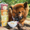 Puppy Cake Hoggin' Dogs Ice Cream Mix Sample Pack Bacon, Banana, Cheese & Peanut