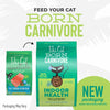 Tiki Cat® Born Carnivore™ Indoor Health Trout and Menhaden Fish Meal Recipe Dry Cat Food