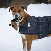 Shedrow K9 Goose Rope Dog Toy