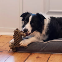 Shedrow K9 Moose Rope Dog Toy