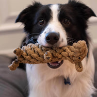 Shedrow K9 Beaver Rope Dog Toy