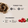 Charmy Mushroom Bone Broth - Turkey Tail & Cranberry 70g (Suitable for Dogs & Cats)