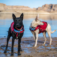 Kurgo Surf 'n' Turf Lifejacket Red